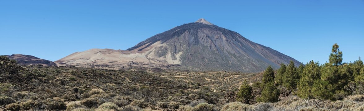 Volcanic landscape, plateau covered with shrubs, Llano de Uruanca with Pico del Teide, 3718m, Parque Nacional de las Ca&ntilde;adas del Teide, Teide National Park, UNESCO World Heritage Site, Tenerife, Canary Islands, Spain