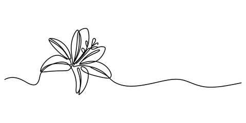 Fototapeta premium Continuous single line drawing of a beautiful lily flower