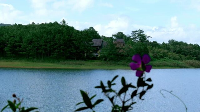 Scenic Landscape Tuyen Lam Lake Da Lat Vietnam