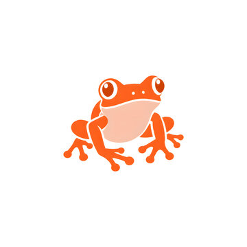 Cute Frog Sitting Minimal Orange Illustration