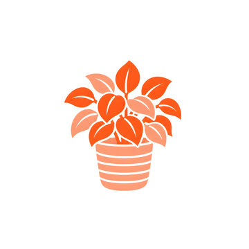 Potted Houseplant Minimal Orange Illustration