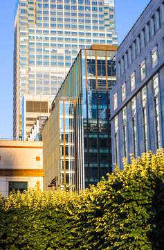 London, Sunset in docklands. Canary Wharf North dock skyscrapers, banks and office buildings with golden light reflections

