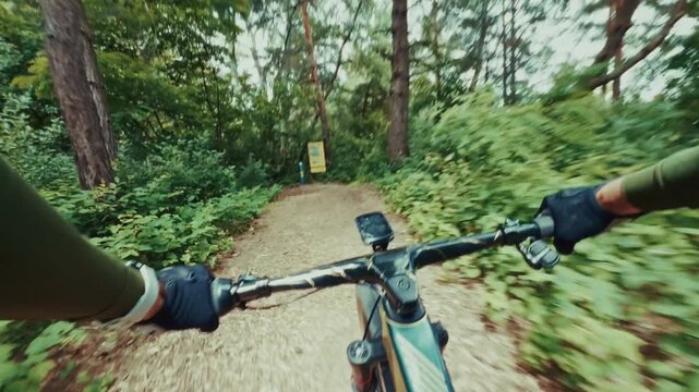 Cyclist Riding Mountain Bike On Forest Trail. Cycling Off Road Track Wooded Nature
