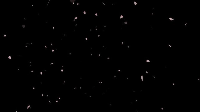 Elegant pink cherry blossom petals rain loop animation on dark background, wedding videos and romantic visual background, animation assets loop, Pink petal animation for festivals.4k video