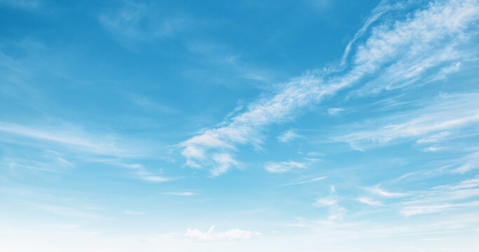 Clear blue sky stretches wide and bright