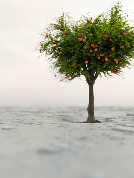 An apple tree growing through cracked concrete representing resilience and natural perseverance