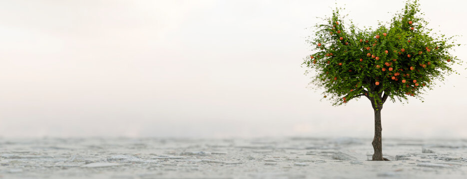 A vibrant apple tree growing through cracked concrete representing resilience and new beginnings
