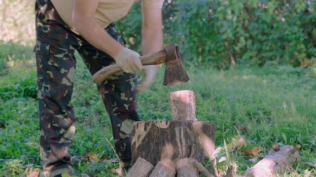 Person splitting a log with an axe on a tree stump in a sunny grassy woodland clearing, outdoor manual work and firewood preparation