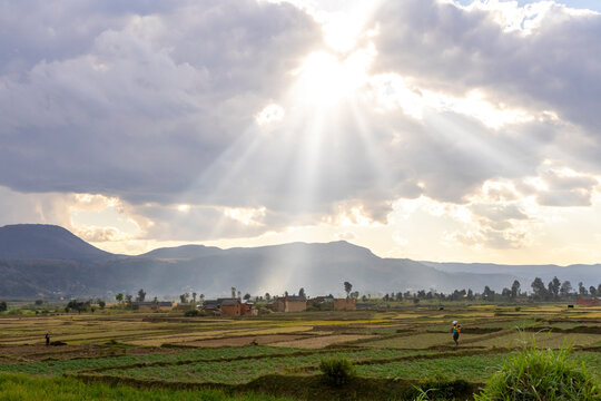 Sunbeams over rice fields and a village, Antsirabe, Madagascar