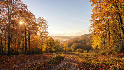 Fototapeta premium Scenic wide angle landscape view of golden autumn forest path with bright sun shining through colorful orange trees foliage during warm fall sunrise for seasonal nature background