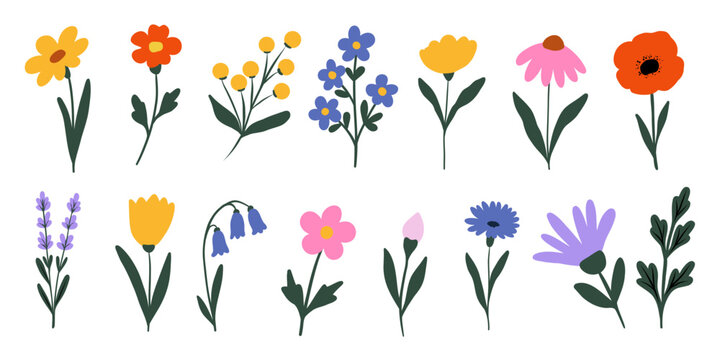 Wildflower Meadow Set Vector Illustration Flat Minimalist Style