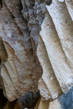 Close-up of layered limestone blades, Petit Tsingy, Madagascar