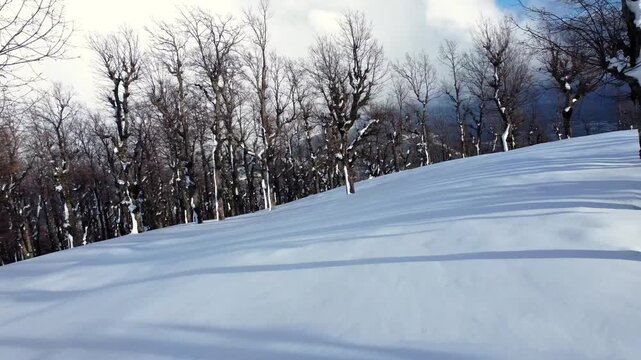 Snow and winter for the Arabs, snowfall in Jijel state, Algeria, the Maghreb, snow in the Arab countries of North Africa, snow in the mountains, trees, forest, sky and clouds