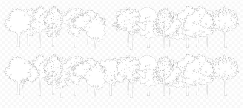 Vector trees in elevation view for use in architectural drawings isolated on transparent background