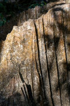 Close-up of eroded limestone spikes, Petit Tsingy, Madagascar