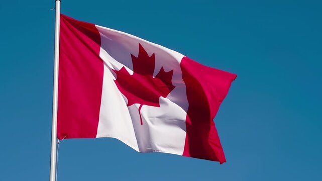 Canadian Flag Lit by the Sun. The Big State Flag is illuminated by the sun and flutters epically in the wind against the blue sky