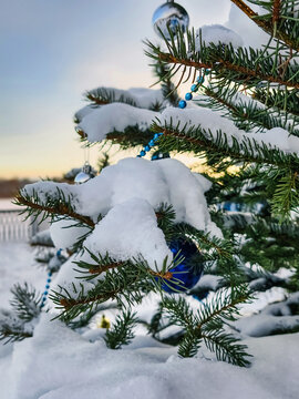 A Christmas tree is covered in snow with blue ornaments hanging from its branches. The scene shows winter surroundings and a clear sky at sunset