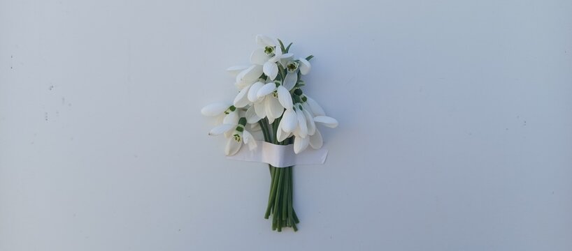 Small snowdrop flower bouquet fastened with paper ribbon on white background
