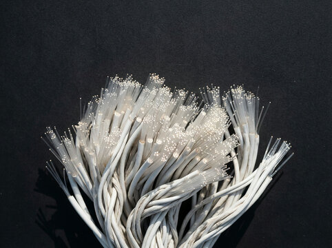 Bundle of white fibre optic cables fanned out on a dark surface in soft daylight