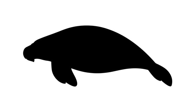 Black silhouette of a manatee swimming underwater, minimalist marine mammal illustration, side profile view, simple flat design, isolated on light background, aquatic wildlife icon,