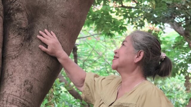 Happy senior asian woman in her 60s enjoy the closeness to nature via large tree in urban park during summer, horizontal video