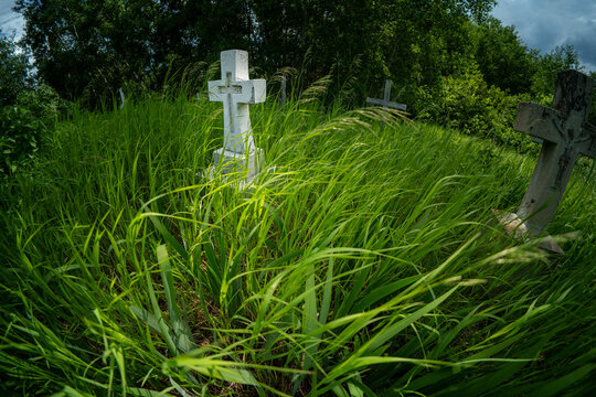 Wide-angle in an overgrown cemetery with a white Christian headstone surrounded by long grass
