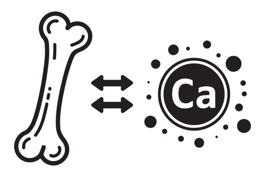 Calcium bone health icon, increasing bone density, skeletal strength, essential mineral, strong bones, overall wellness, vector illustration