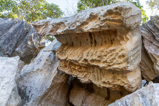 Undercut limestone overhang at the tsingy, Petit Tsingy, Madagascar