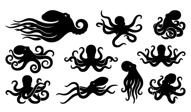 Dynamic octopus black silhouette illustrations with varied tentacle poses