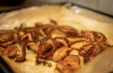 Juicy grilled tentacles of an octopus on parchment paper inside a pan. .Close up photo, shallow depth of field. © Lazaros
