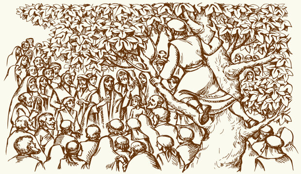 Vector drawing. Zacchaeus on the tree