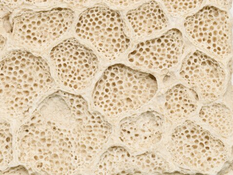 Close up of a porous beige stone surface