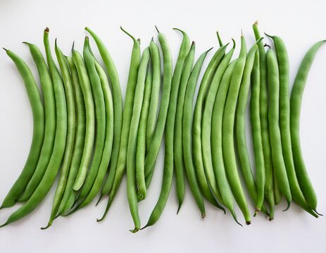 fresh green beans arranged in a row organic raw string beans healthy garden vegetables for cooking and nutrition isolated with white background