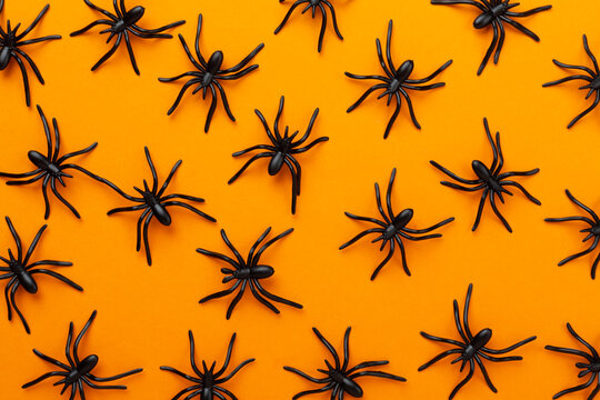 Small decorative halloween spiders on color background, top view