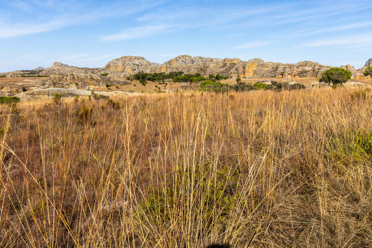 Golden grassland stretching to distant rocky hills, Isalo, Madagascar