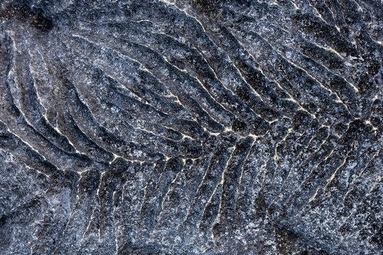 Abstract texture of eroded tsingy limestone, Grand Tsingy, Madagascar