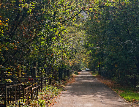 Cemetery alley during autumn time landscape