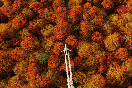 3D Rendering of an airplane with contrails flying over colorful forest in the fall season