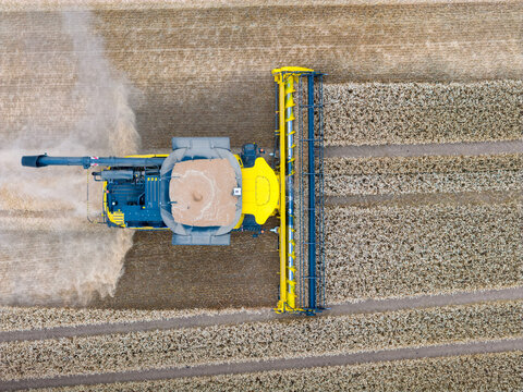 Aerial of a combine harvester in a grain fiel