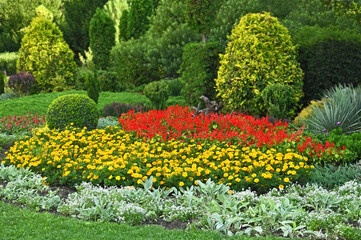 Obraz premium Flowerbed with variety plants at summer