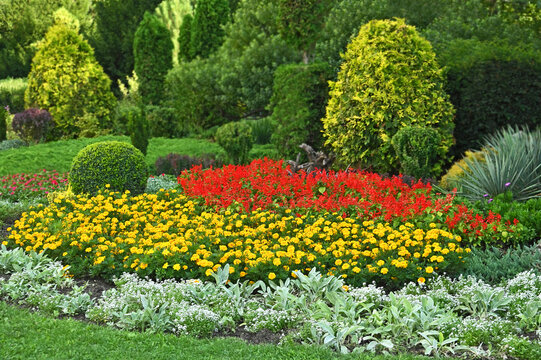 Flowerbed with variety plants at summer