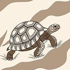 Fototapeta premium A tortoise vector with white shell and brown body, walking on a textured background with plants, design for nature.