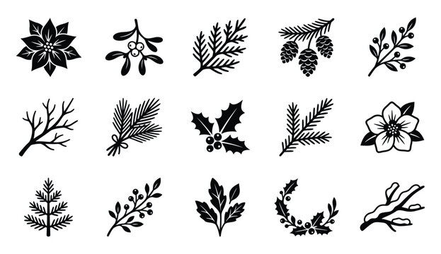 A collection of delicate black and white botanical illustrations for the festive christmas season