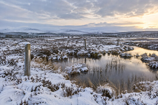 A restored peatland under light snow with wooden monitoring posts