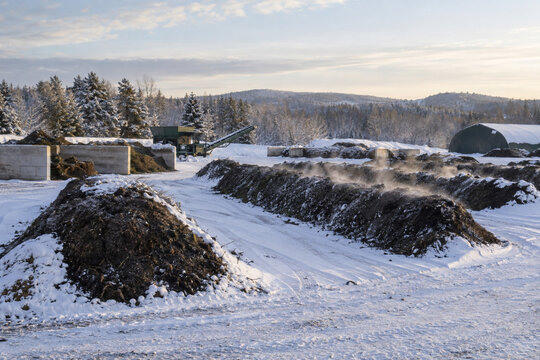 A snow-covered municipal composting site with orderly windrows