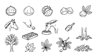 Obraz premium Chestnut Hand Drawn Icon Set, Black and White Line Art Symbols of Chestnuts Horse Tree Basket and Autumn Leaves for Harvest