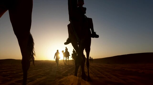 People riding camel caravan in the sahara desert during a safari adventure at sunset, with golden sunbeams casting long shadows across the beautiful arid landscape