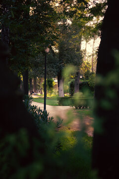 View of Mar&iacute;a Luisa Park in Seville through the trees and plants. Dirt paths and trails in a vast, quiet park.