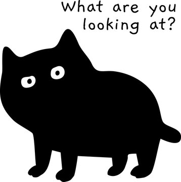 Derpy Black Cat What Are You Looking At PNG