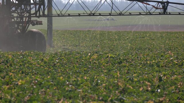 Modern agricultural technologies. Industrial production of agricultural crops. Close-up of an automatic irrigation system in a field. Equipment for industrial irrigation